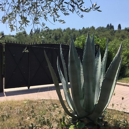 Villa Pax Maris Klek Dış mekan fotoğraf