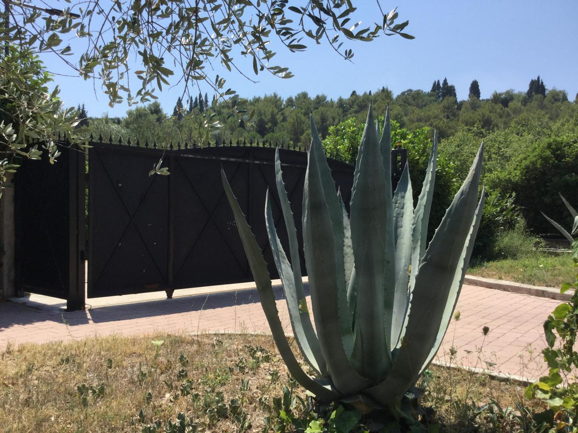 Villa Pax Maris Klek Dış mekan fotoğraf